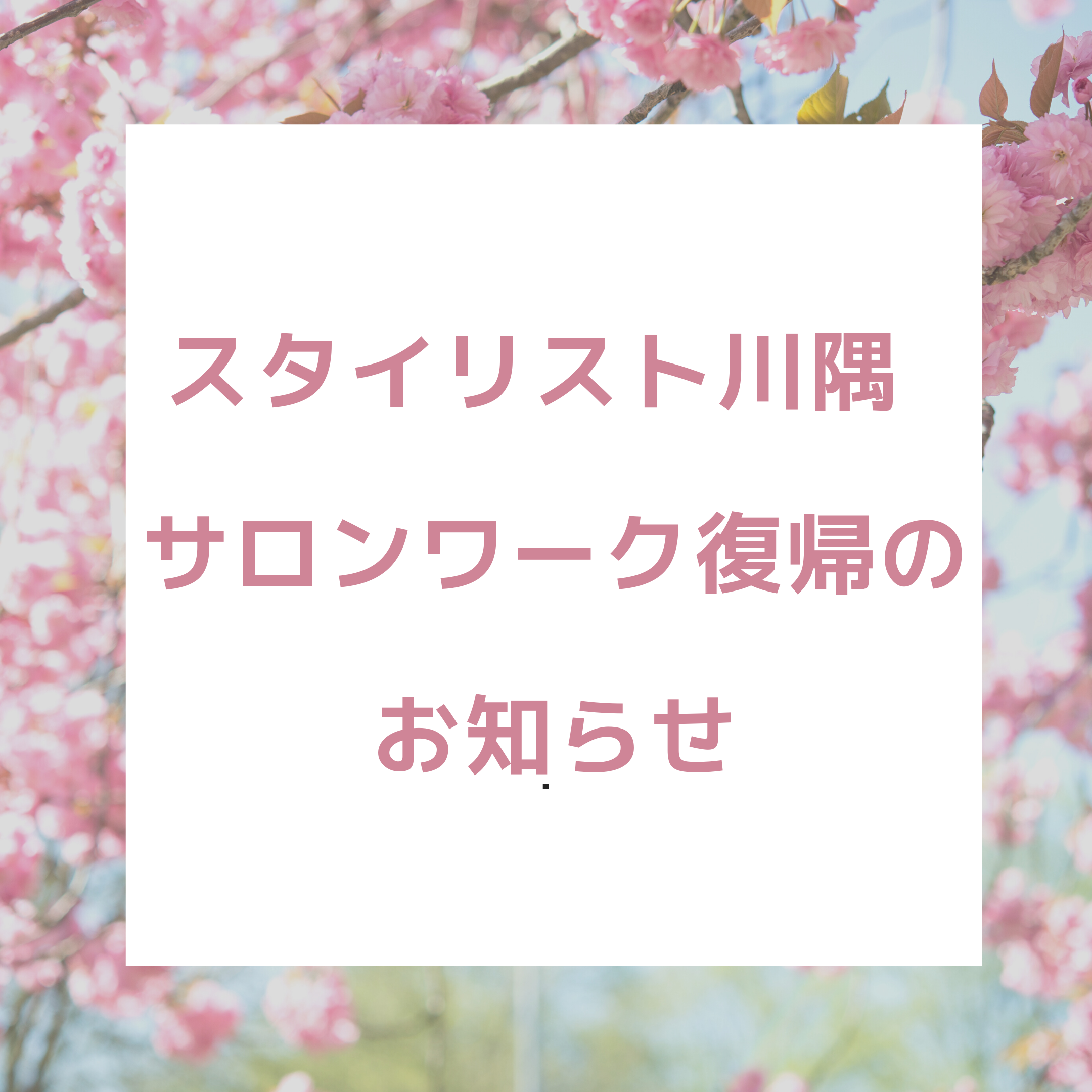 スタイリスト川隅、復帰のご報告🌸のサムネイル画像