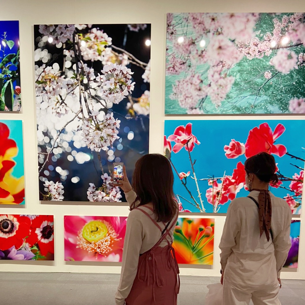 芸術にふれる🌸🌹🌼🎨のサムネイル画像