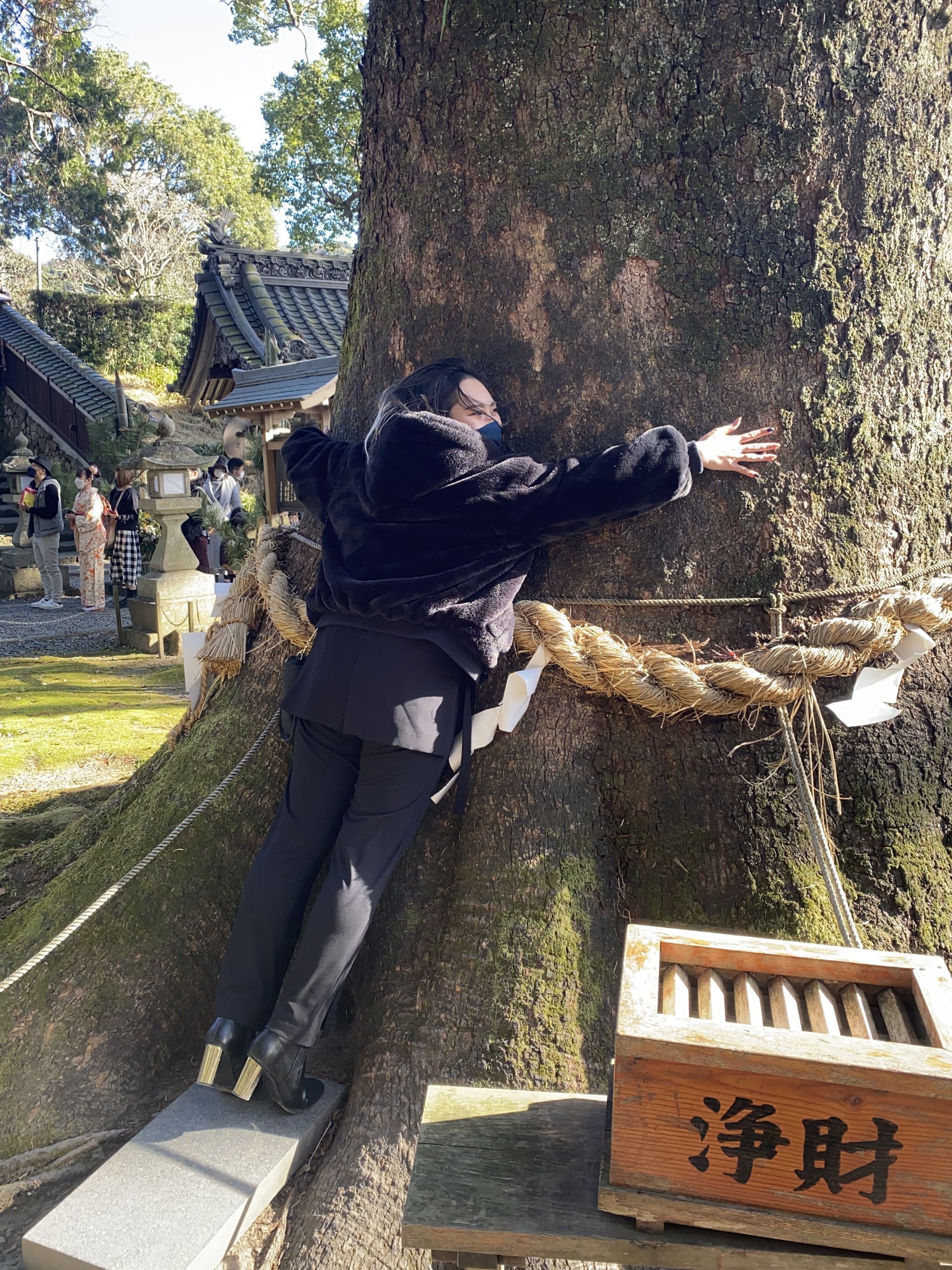 明けましておめでとうございます🐯🍾⛩のサムネイル画像